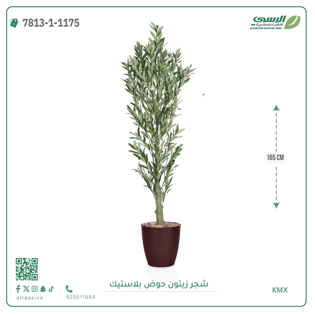Olive Tree Plastic Pot