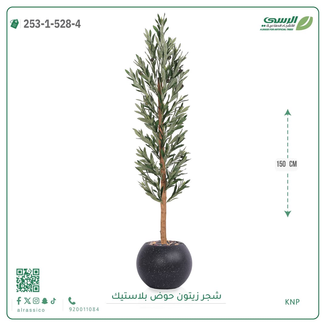 شجر نخل مركن بلاسيتك دائري 