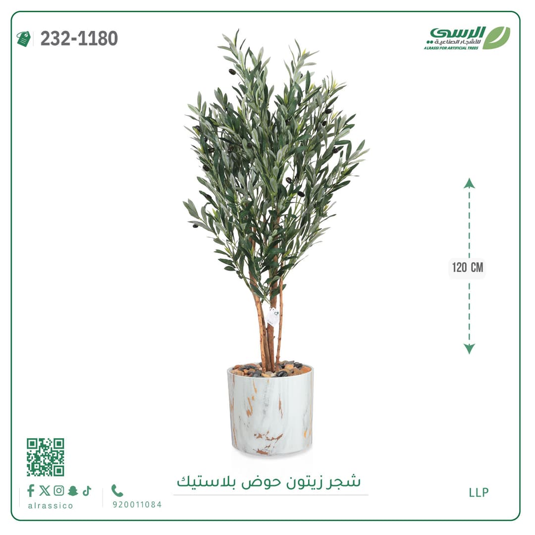 شجر زيتون حوض بلاستيك 120 سم
