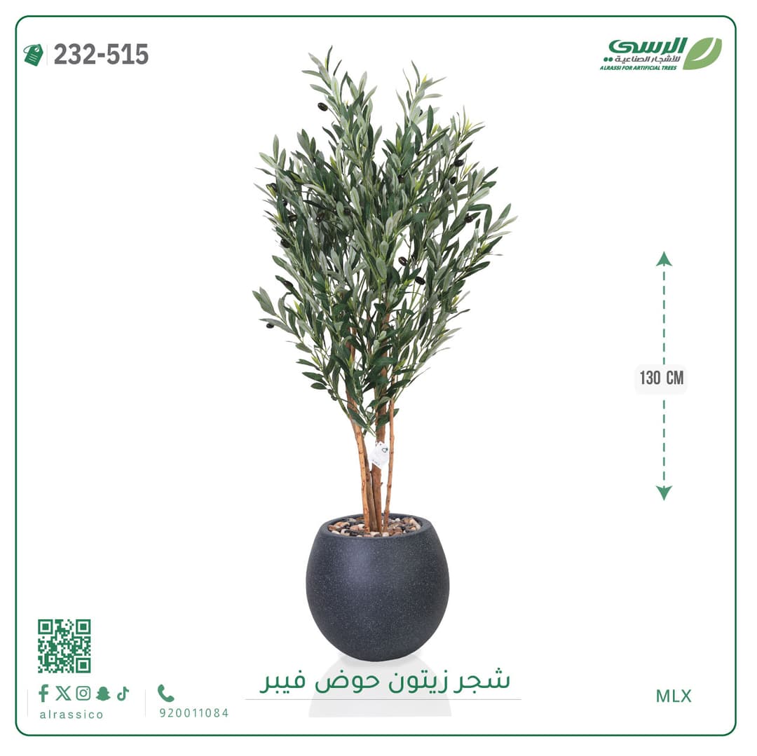 شجر زيتون حوض فايبر