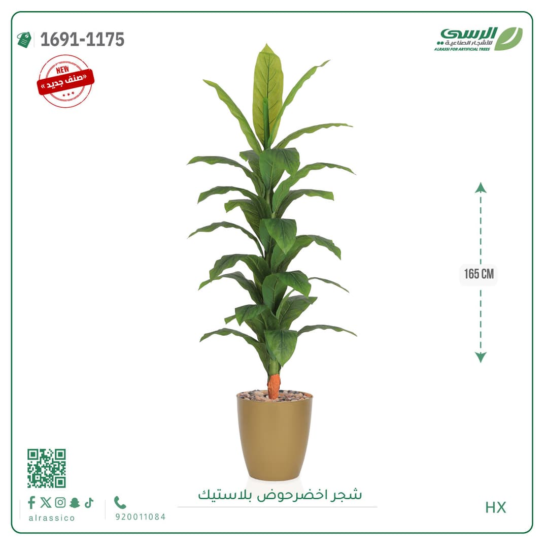 شجر موزمقاس 155 سم 
