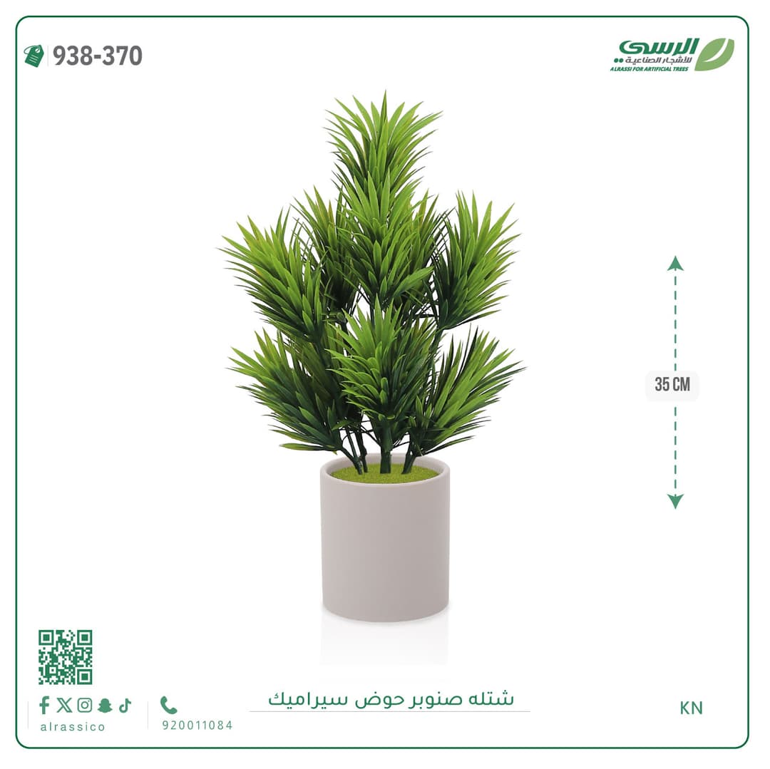 Pine Plant Ceramic Pot