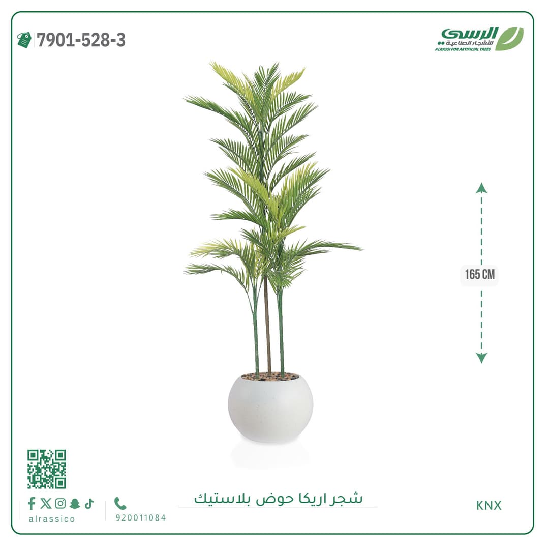 Areca Plant Plastic Pot