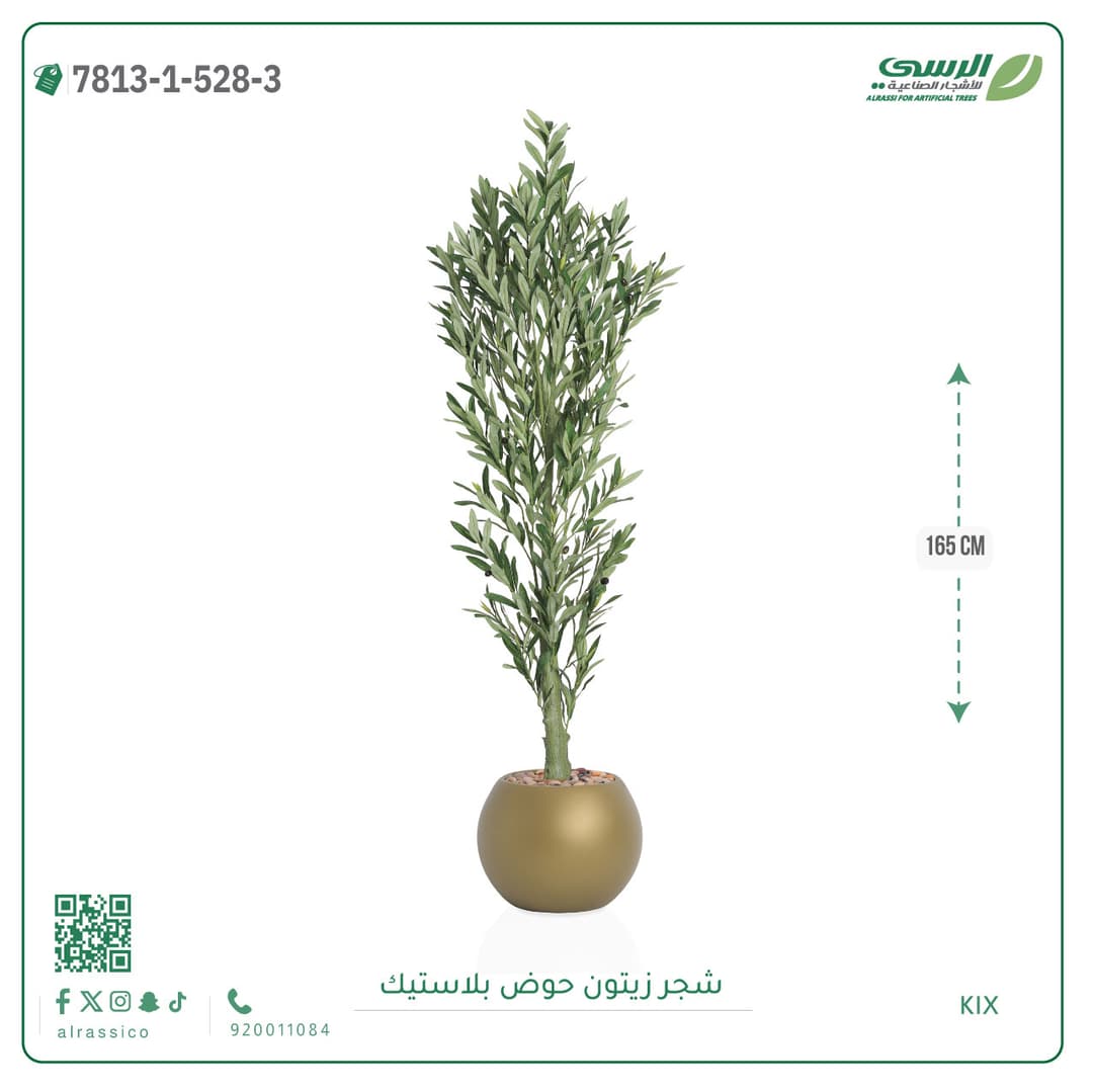 Olive Tree Plastic Pot
