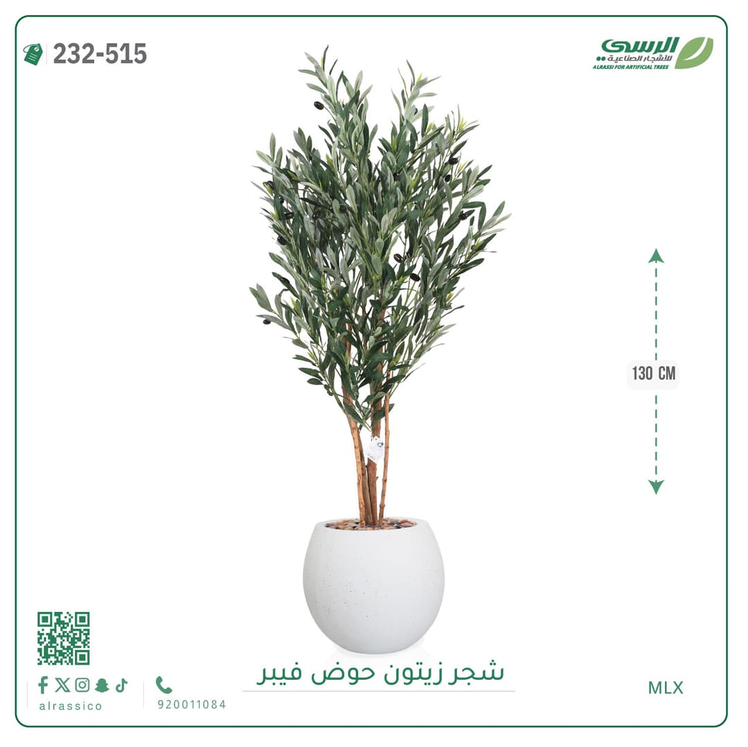 شجر زيتون حوض فايبر
