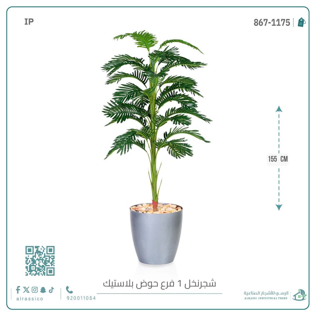 شجر نخل بمركن بلاستيك 