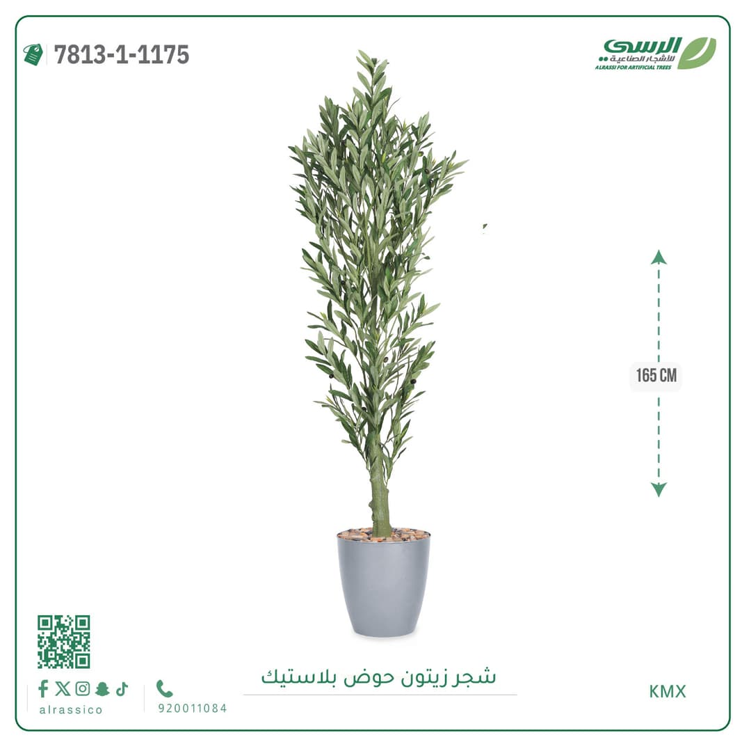 Olive Tree Plastic Pot