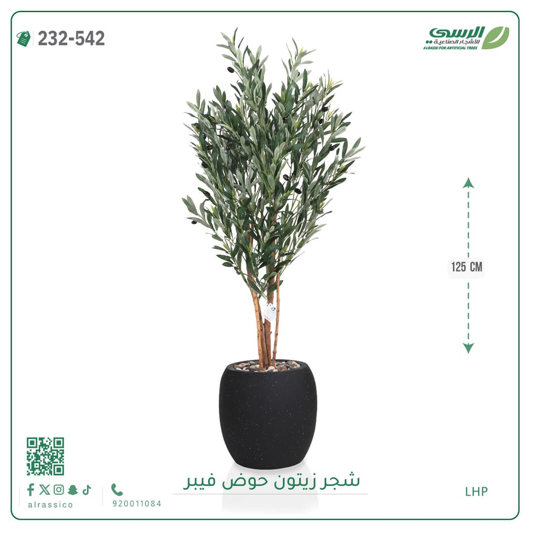 شجر زيتون حوض فايبر 125 سم