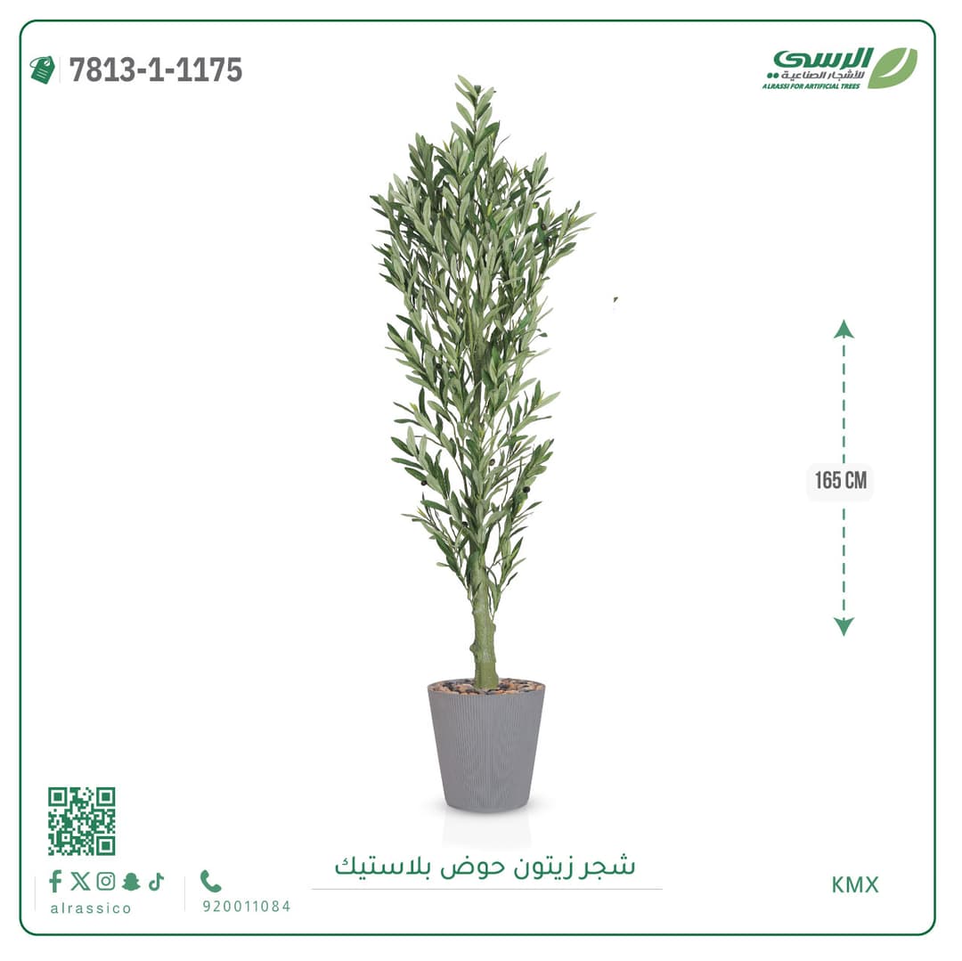 Olive Tree Plastic Pot