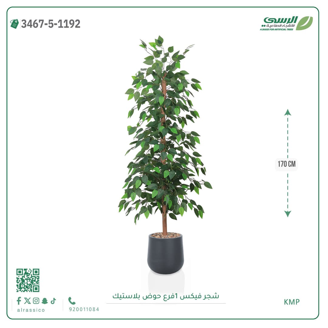 شجرة فيكس صناعية بحوض بلاستيك دائري لون غامق