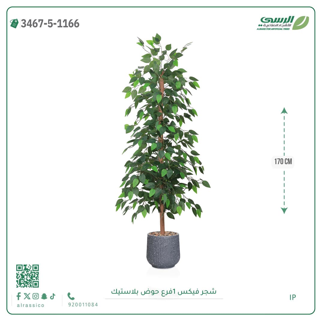 شجرة فيكس صناعية بحوض بلاستيك دائري لون غامق