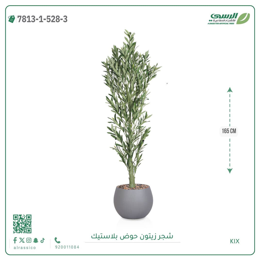 Olive Tree Plastic Pot