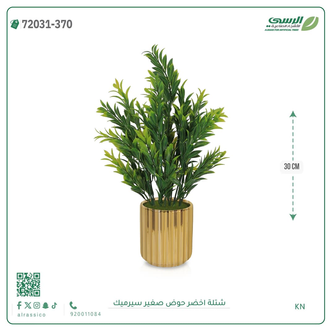 Green Plant Small Ceramic Pot
