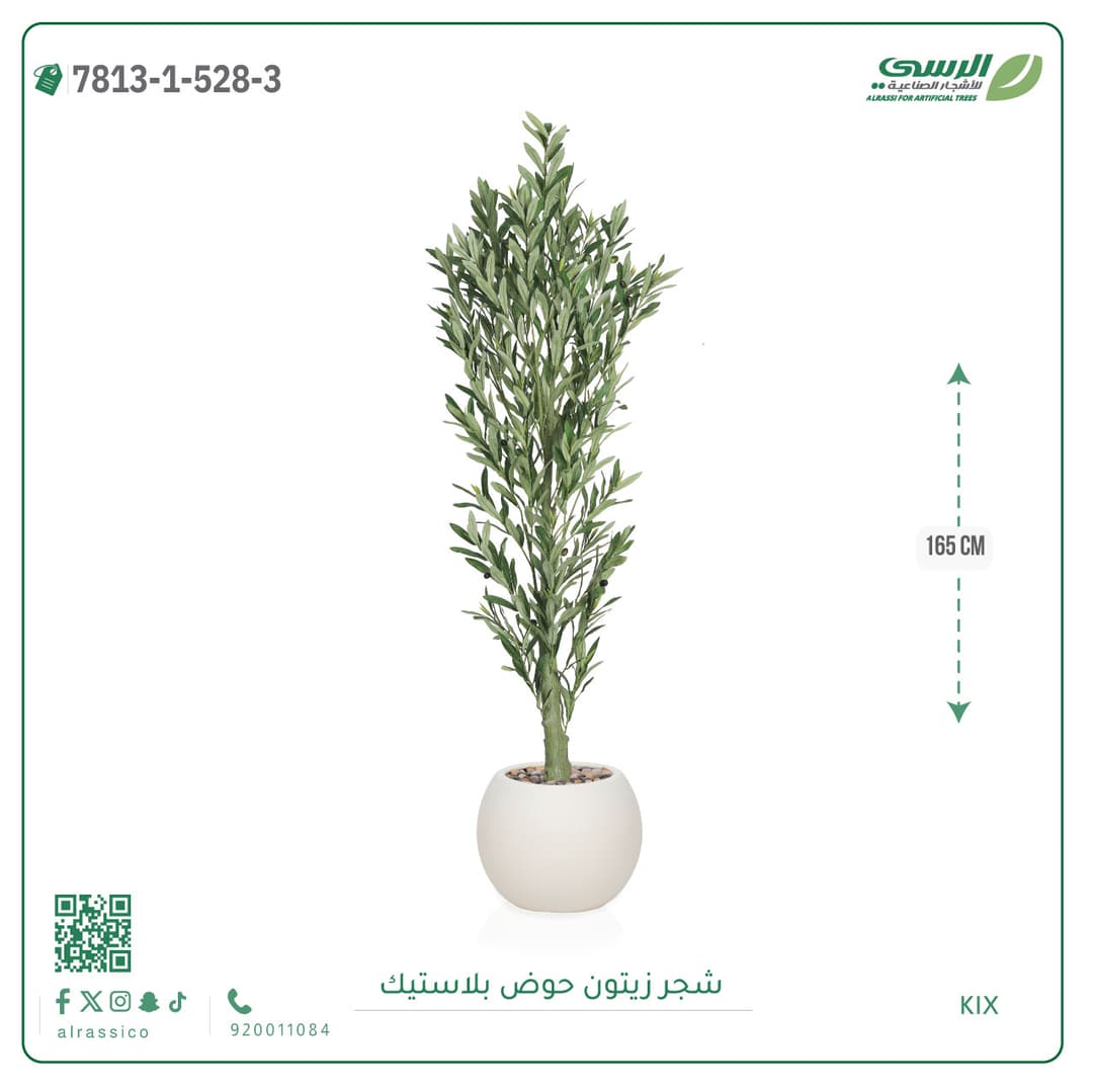 Olive Tree Plastic Pot