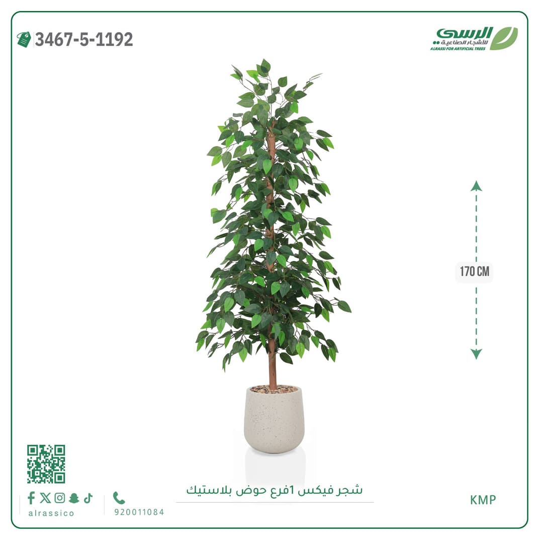 شجرة فيكس صناعية بحوض بلاستيك دائري لون غامق