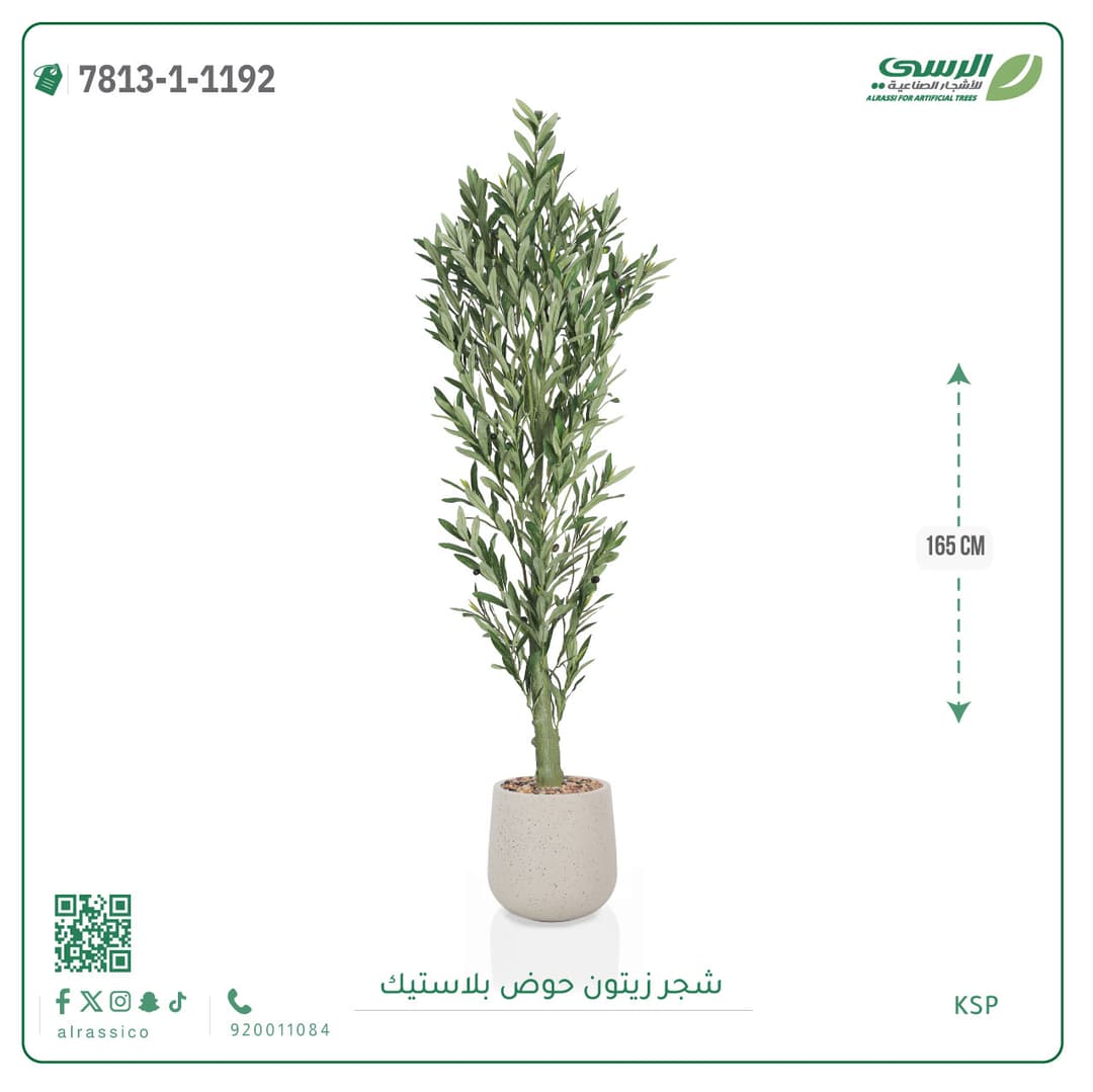 Olive Tree Plastic Pot