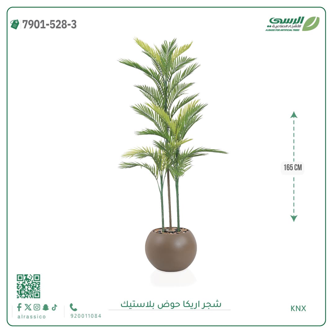 Areca Plant Plastic Pot