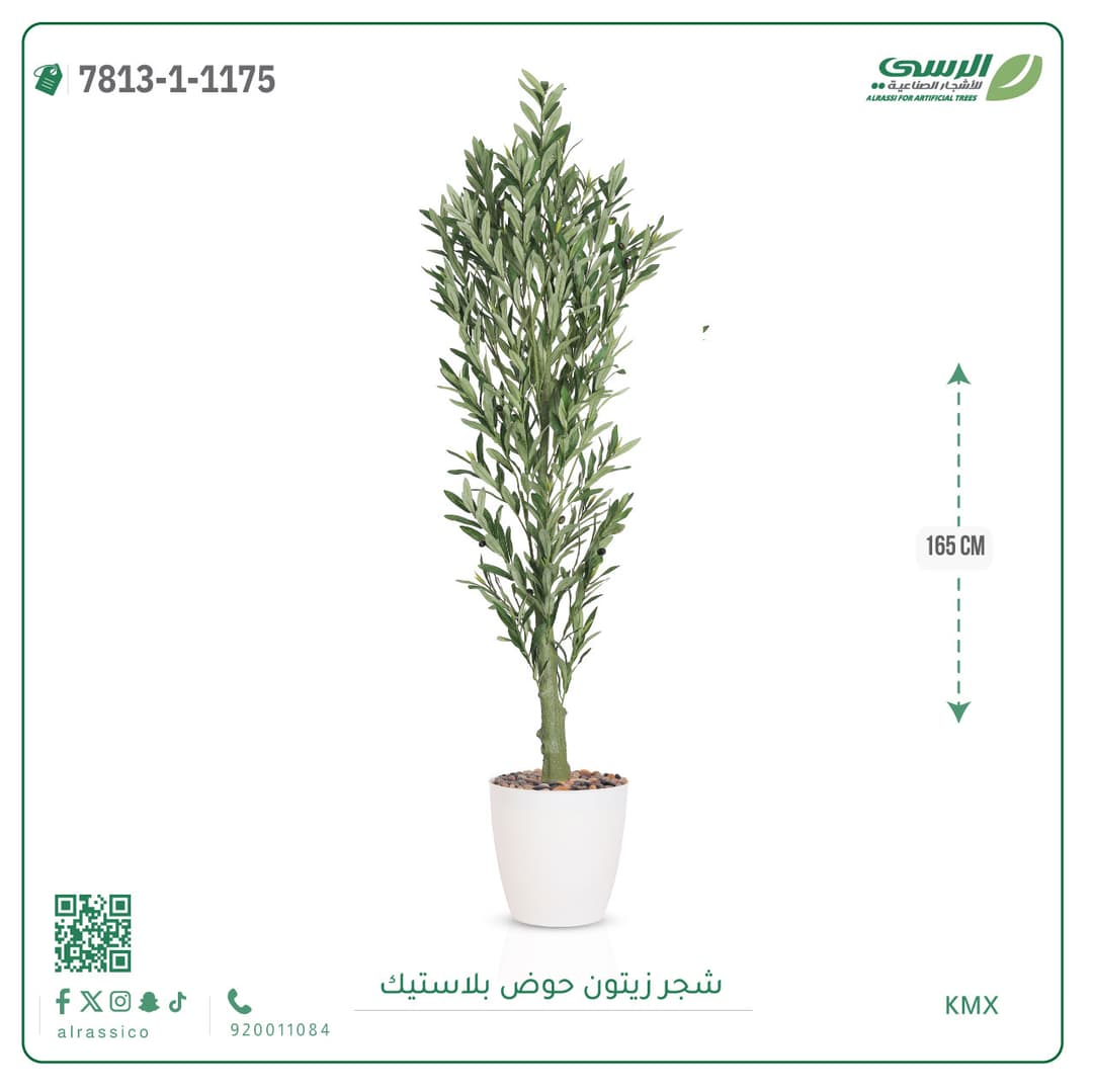Olive Tree Plastic Pot