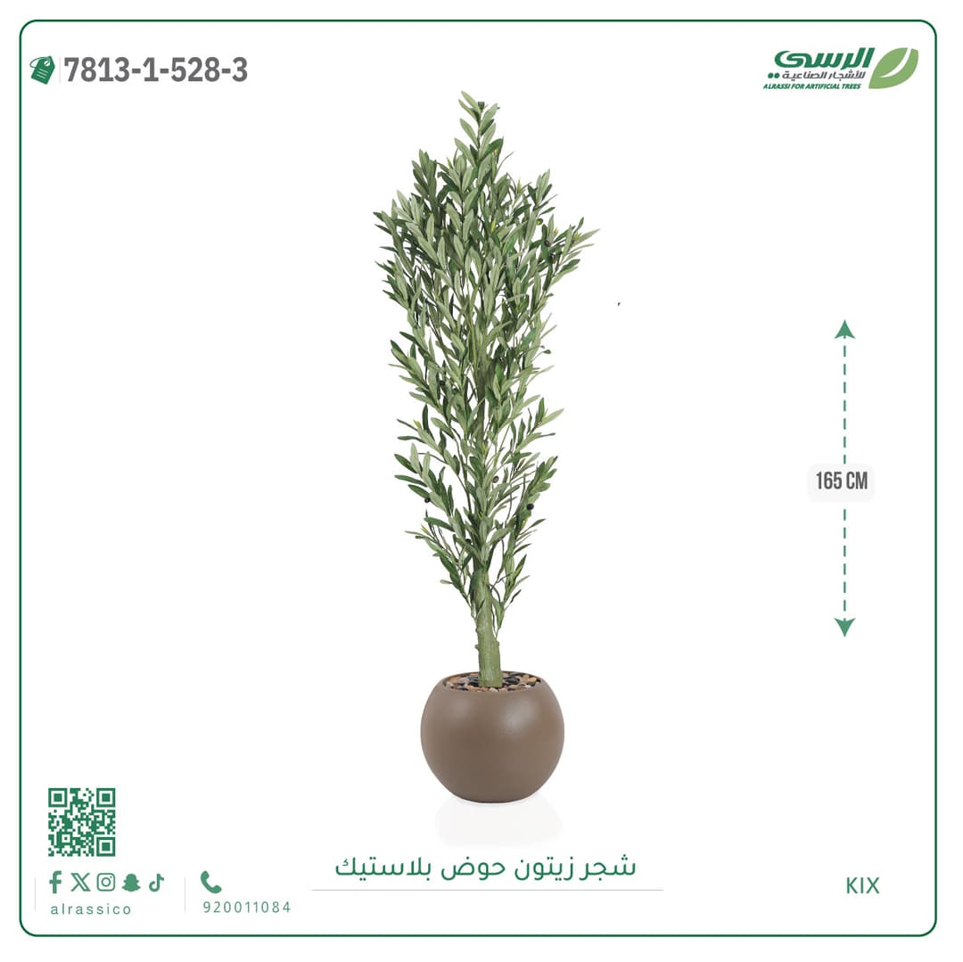 Olive Tree Plastic Pot