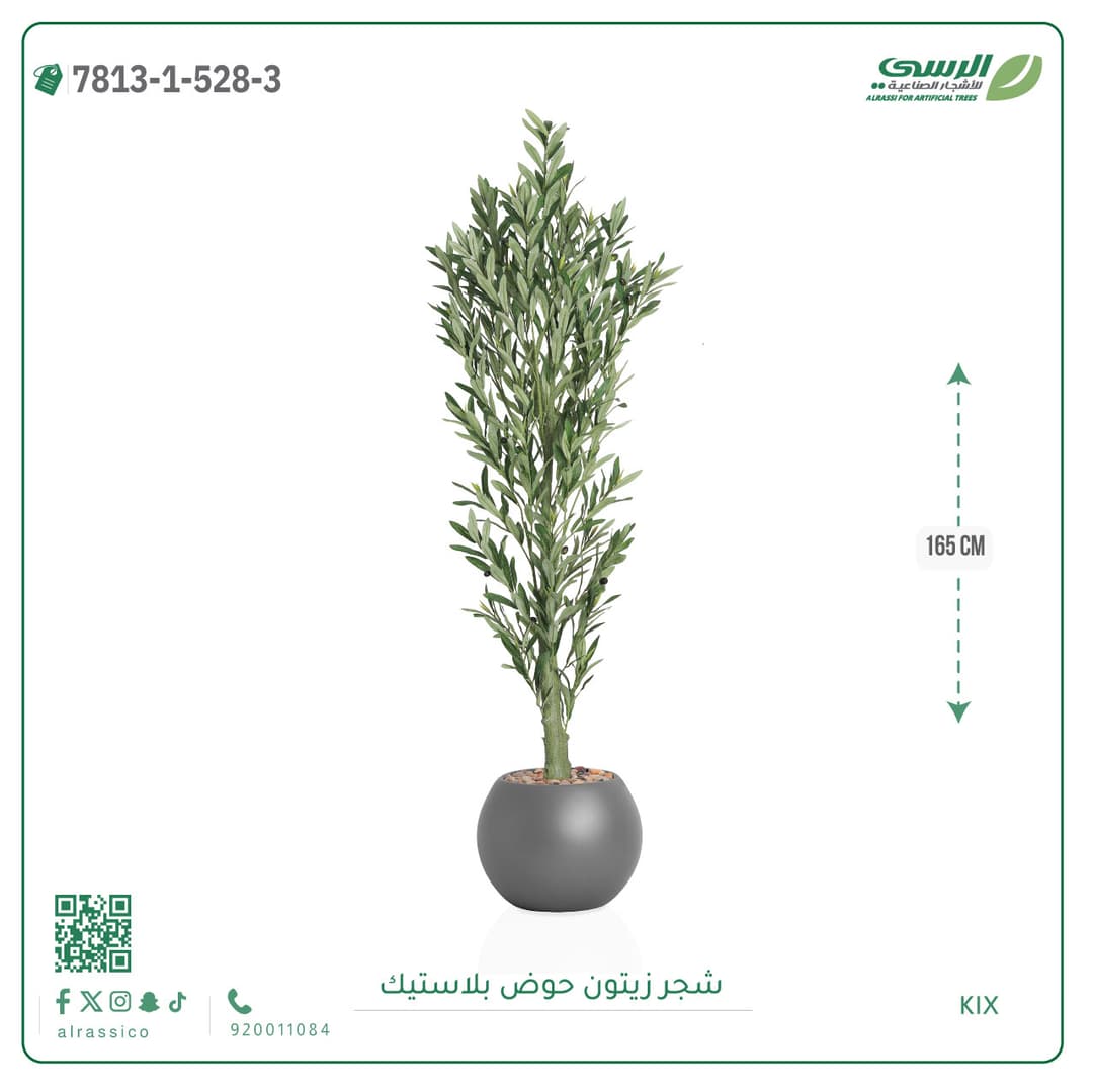 Olive Tree Plastic Pot