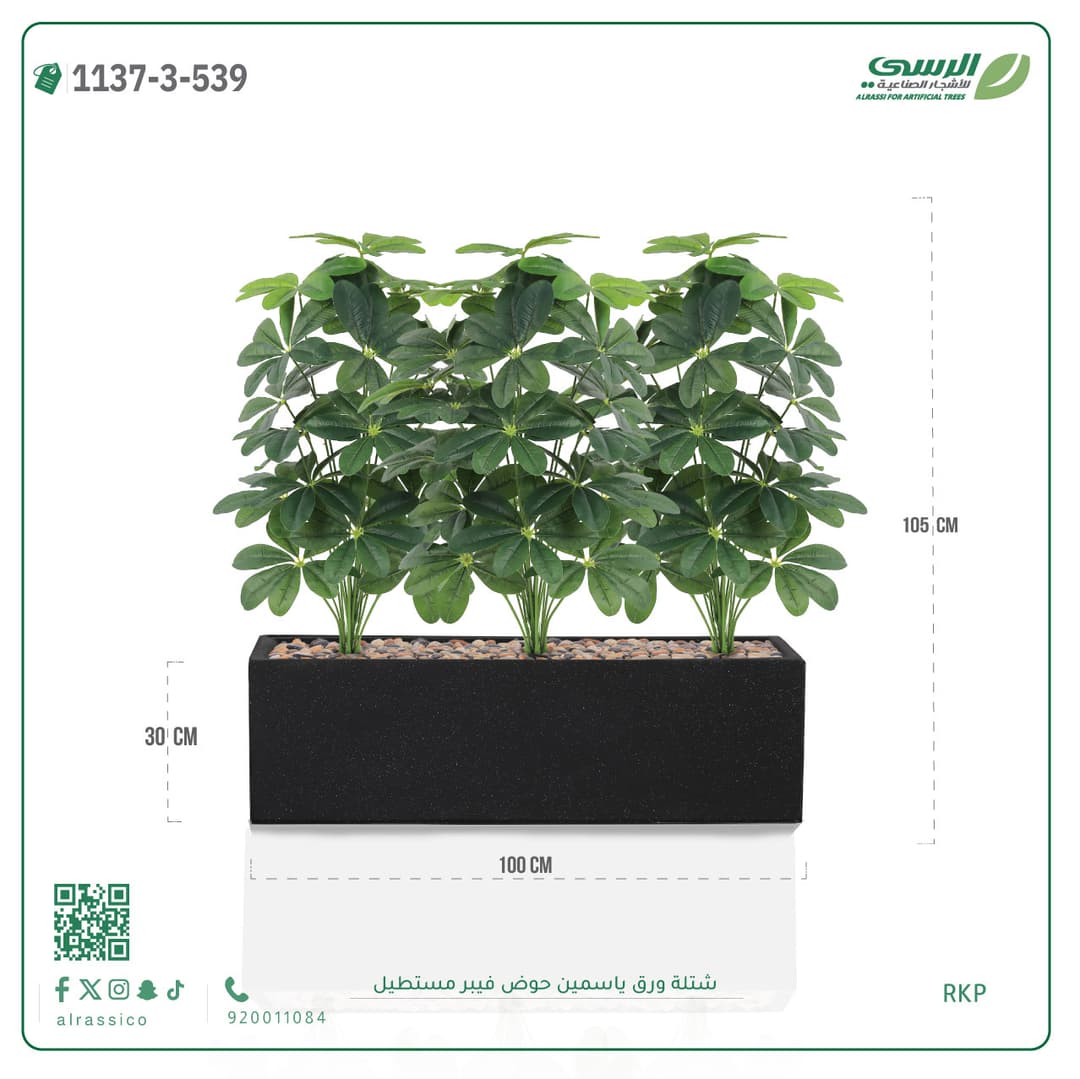 Jasmine plant in a rectangular fiberglass planter