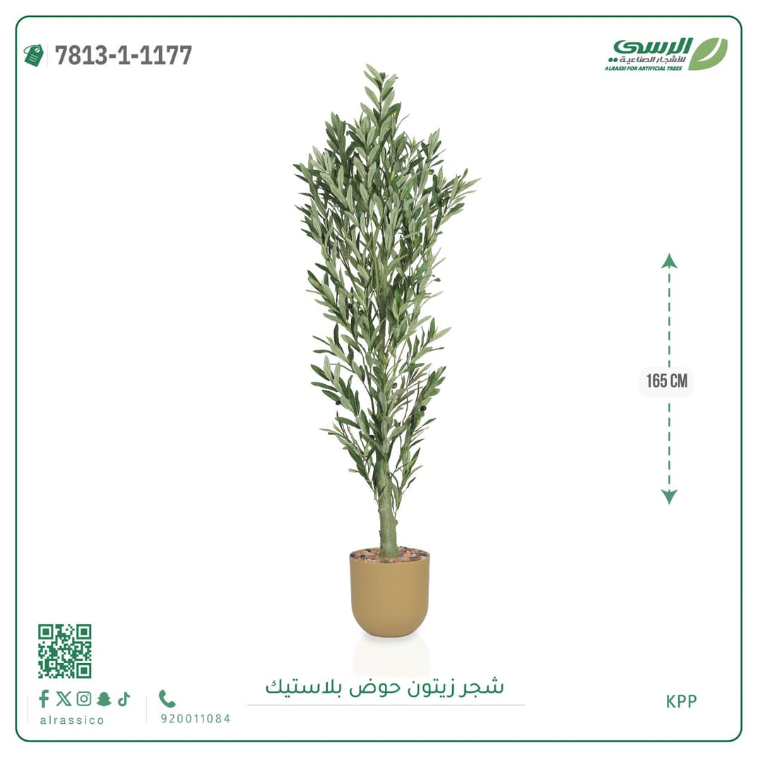Olive Tree Plastic Pot