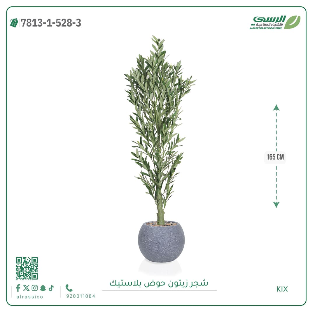 Olive Tree Plastic Pot