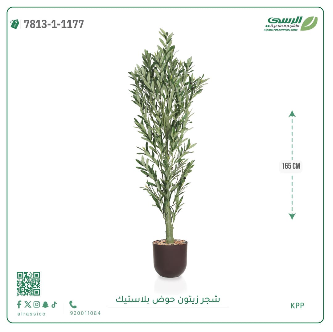 Olive Tree Plastic Pot