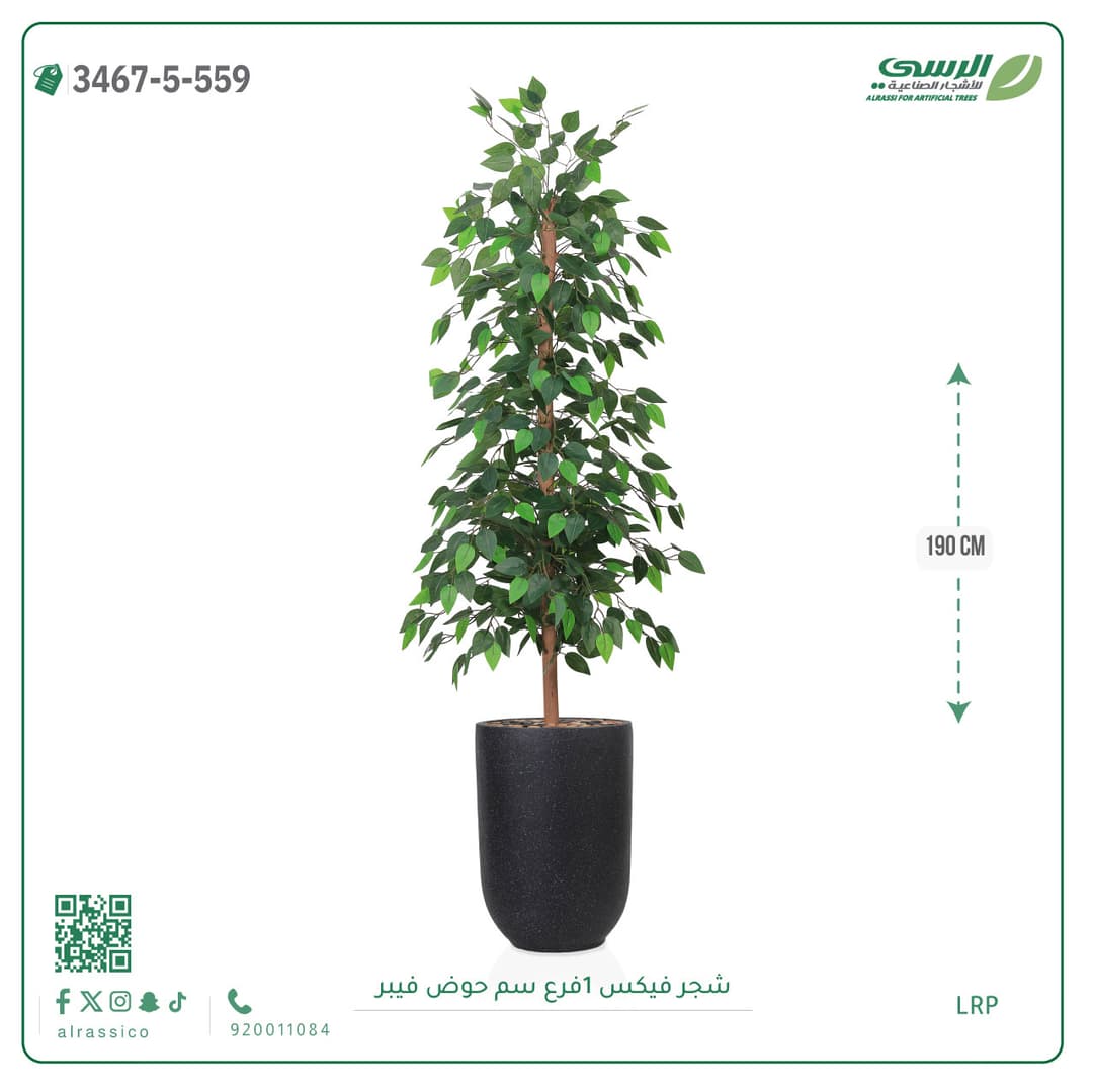 شجرة فيكس صناعية بحوض فيبر لون غامق
