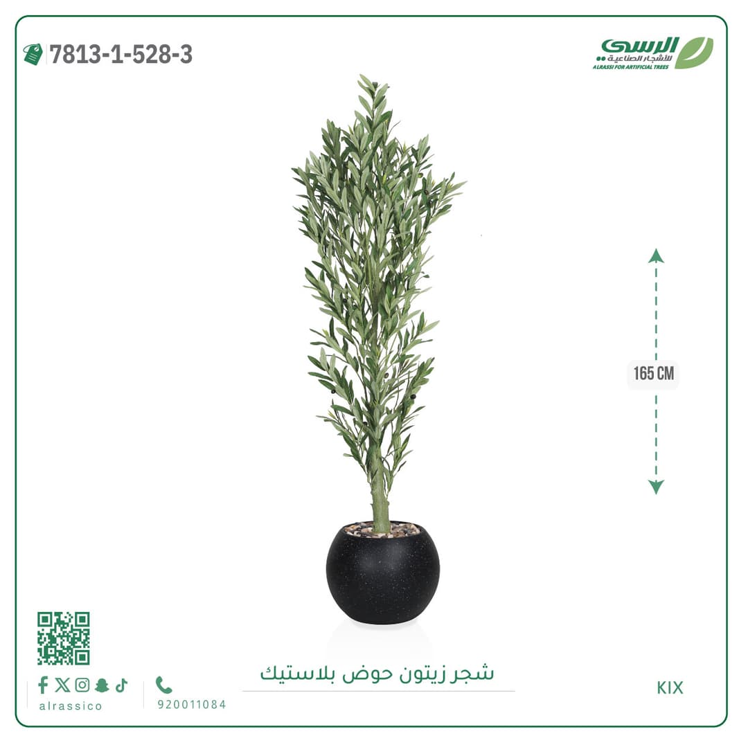 Olive Tree Plastic Pot