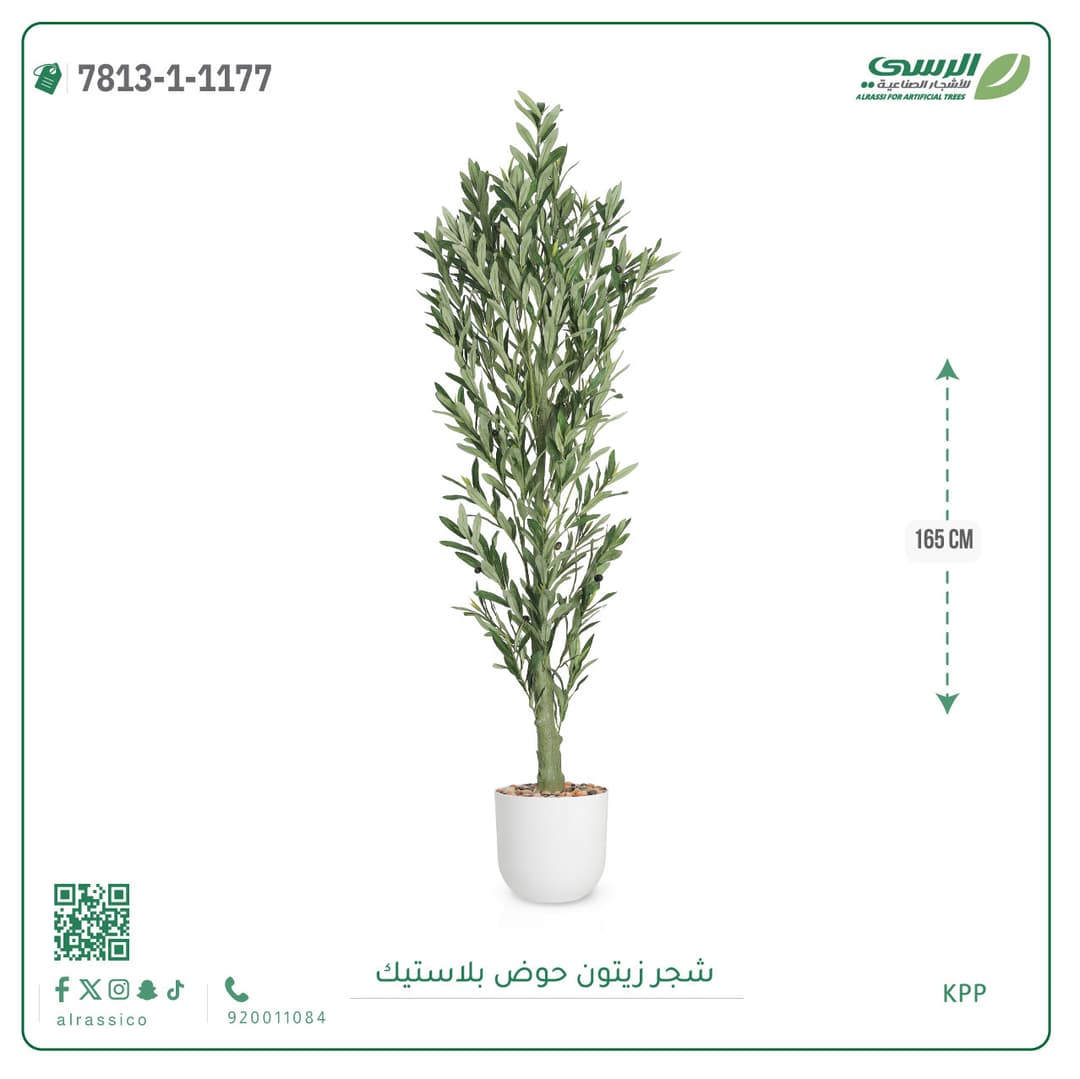 Olive Tree Plastic Pot