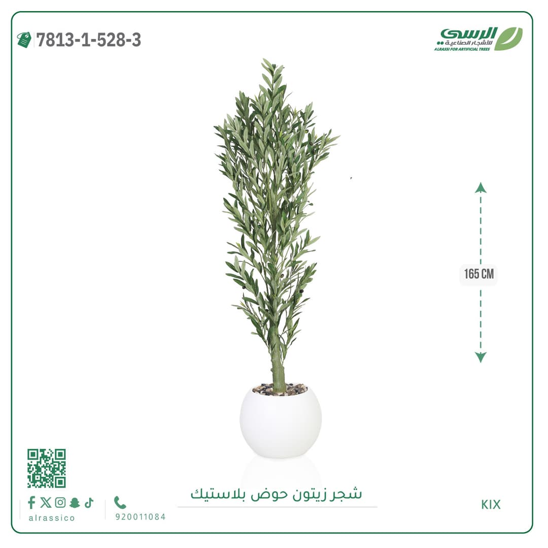 Olive Tree Plastic Pot