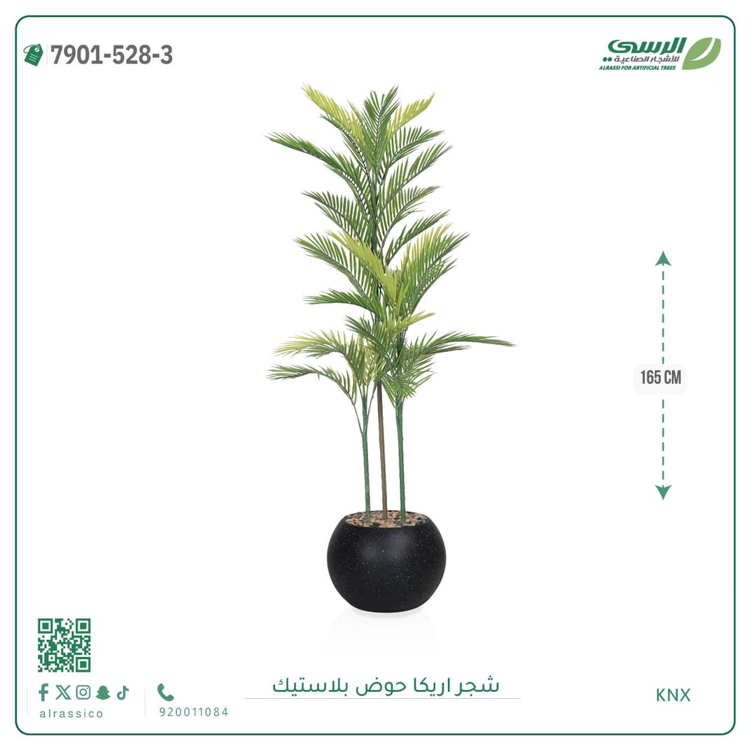Areca Plant Plastic Pot