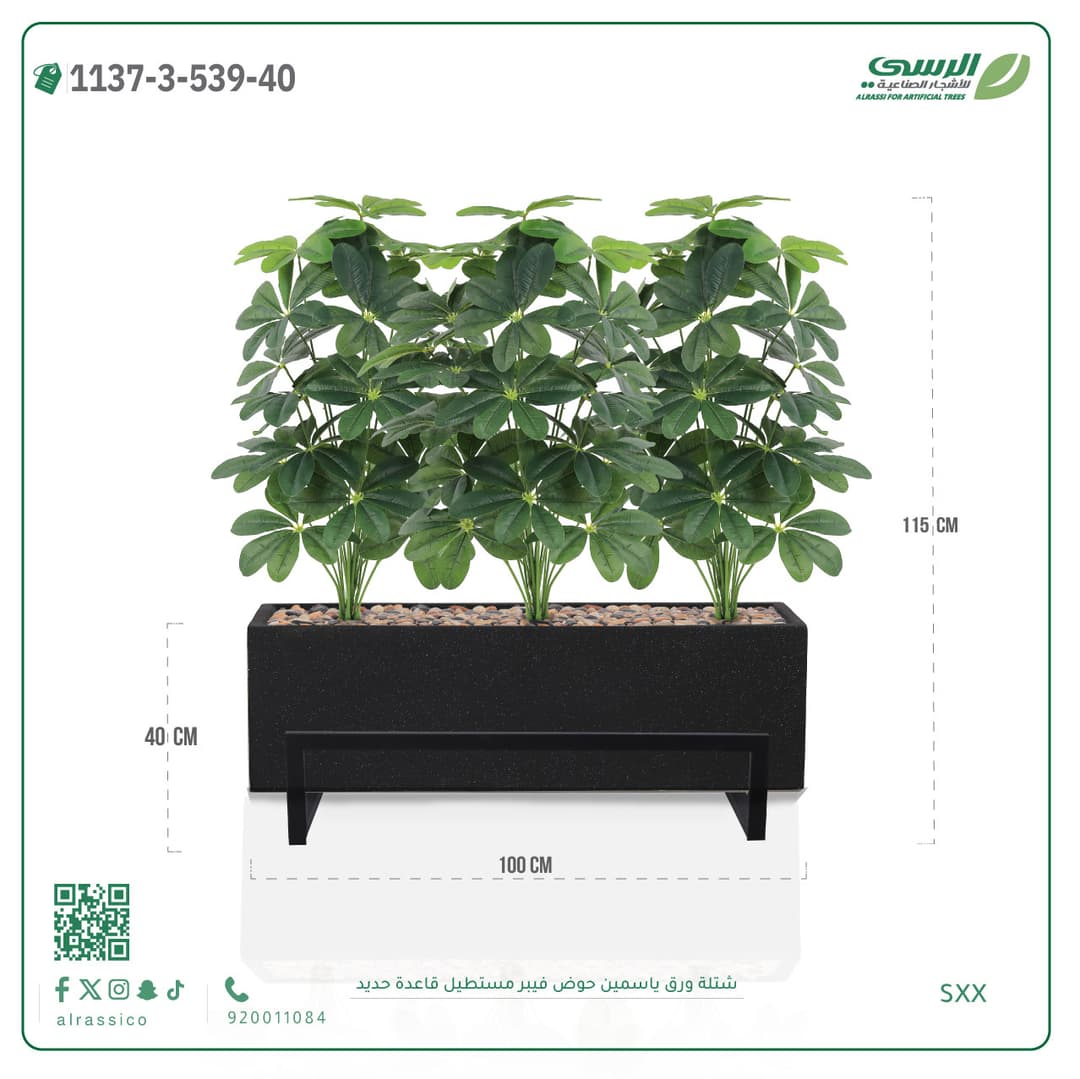 Jasmine plant in a rectangular fiberglass planter
