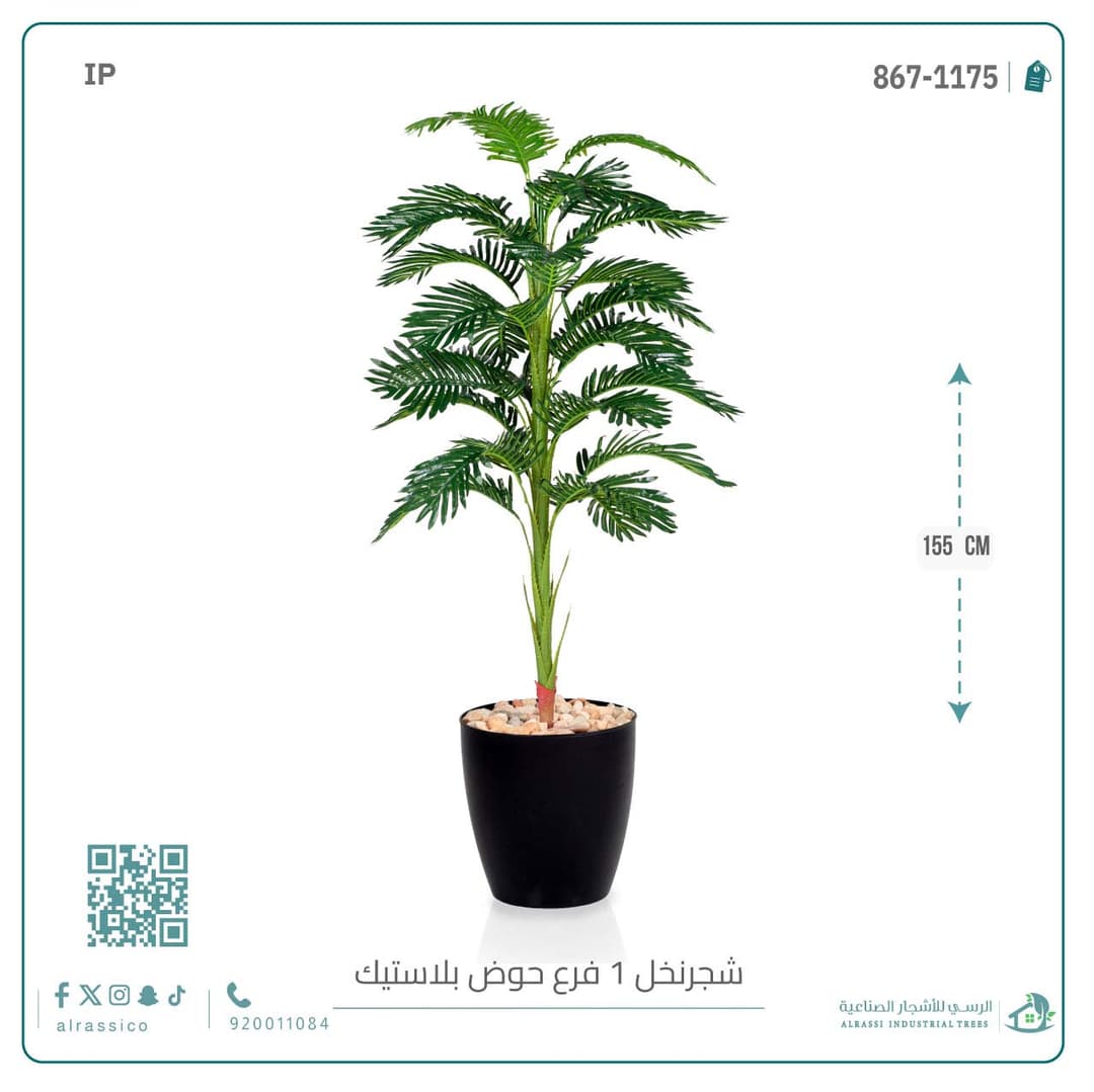 شجر نخل بمركن بلاستيك 
