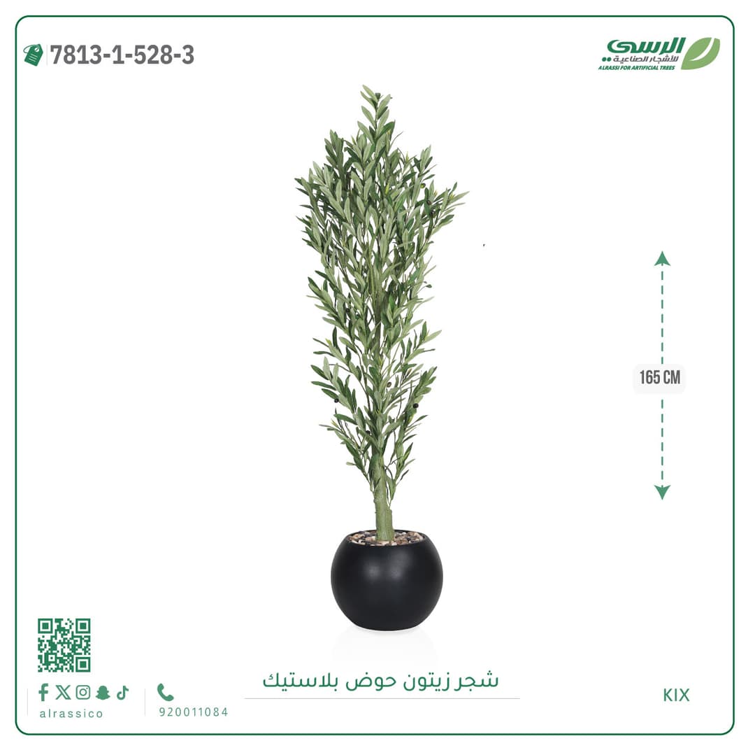 Olive Tree Plastic Pot