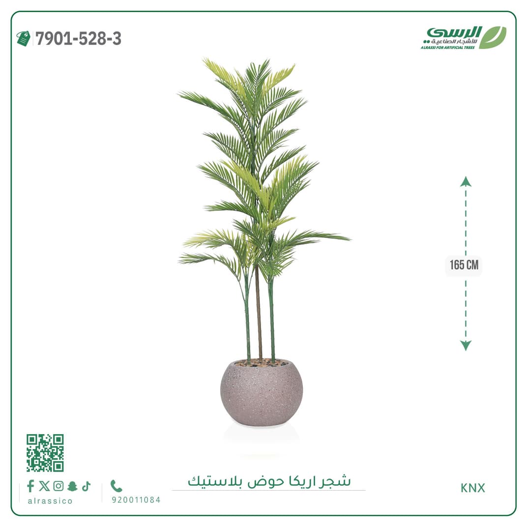 Areca Plant Plastic Pot