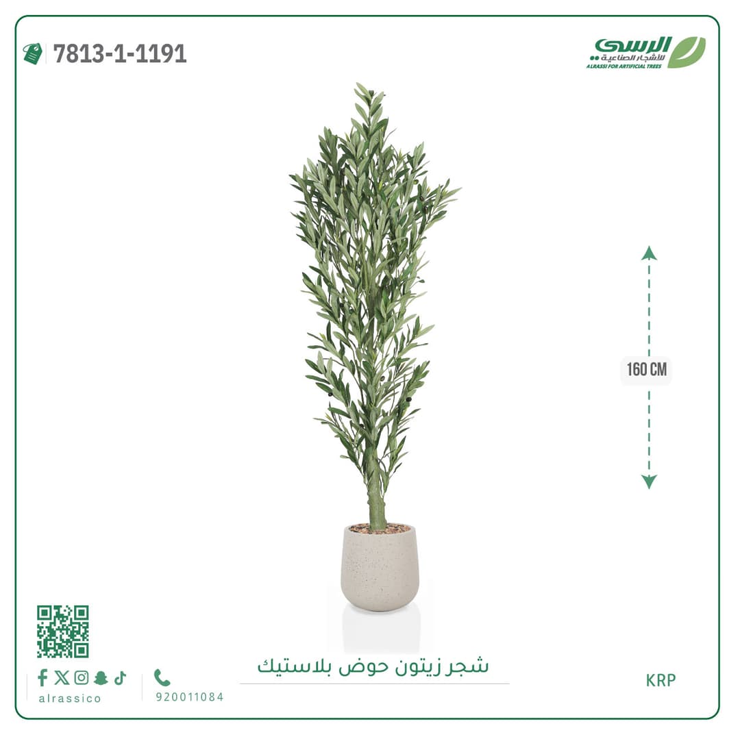 Olive Tree Plastic Pot