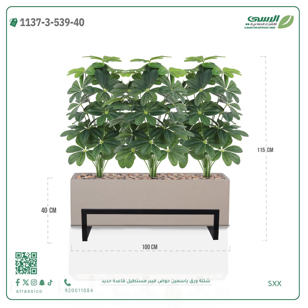 Jasmine plant in a rectangular fiberglass planter