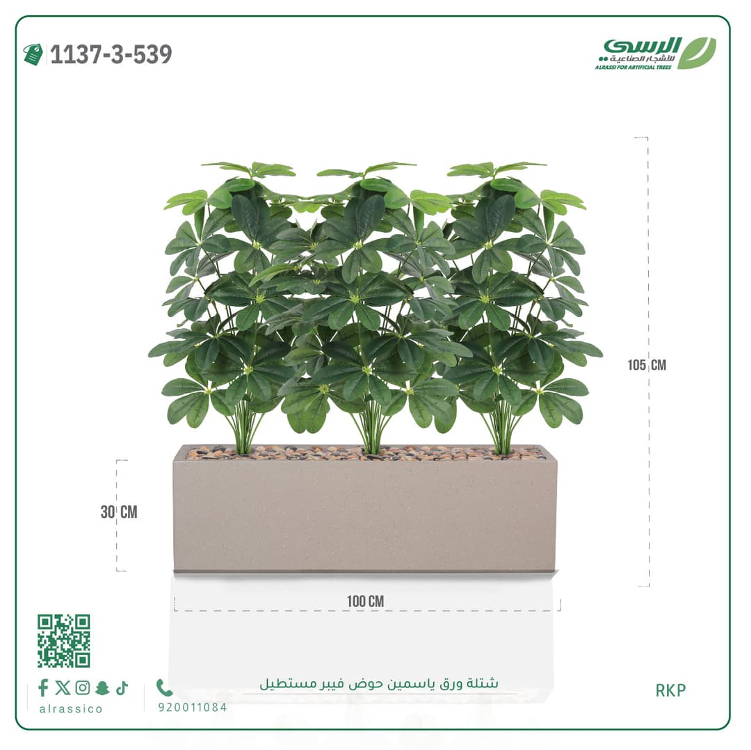 Jasmine plant in a rectangular fiberglass planter