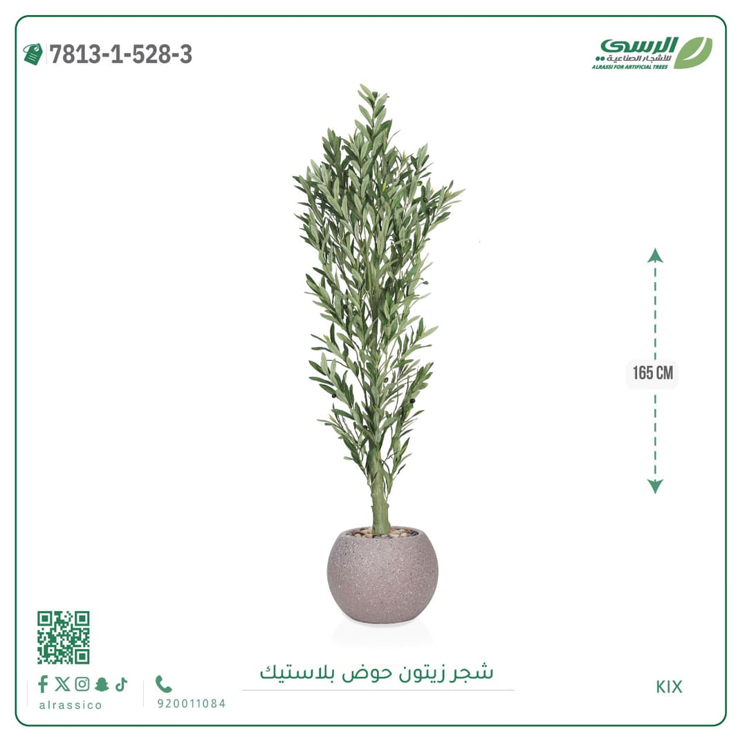 Olive Tree Plastic Pot