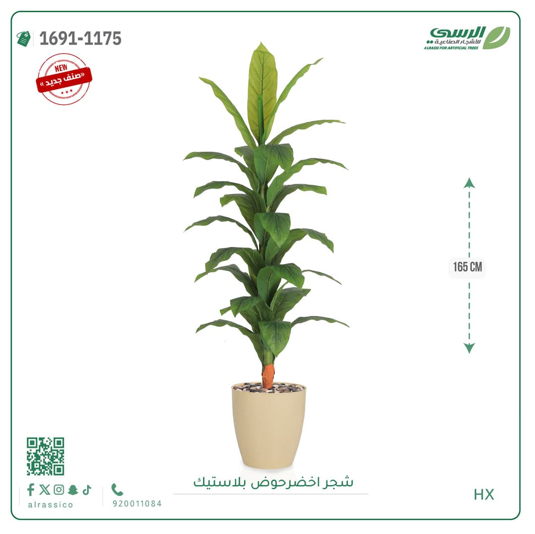 شجر موزمقاس 155 سم 