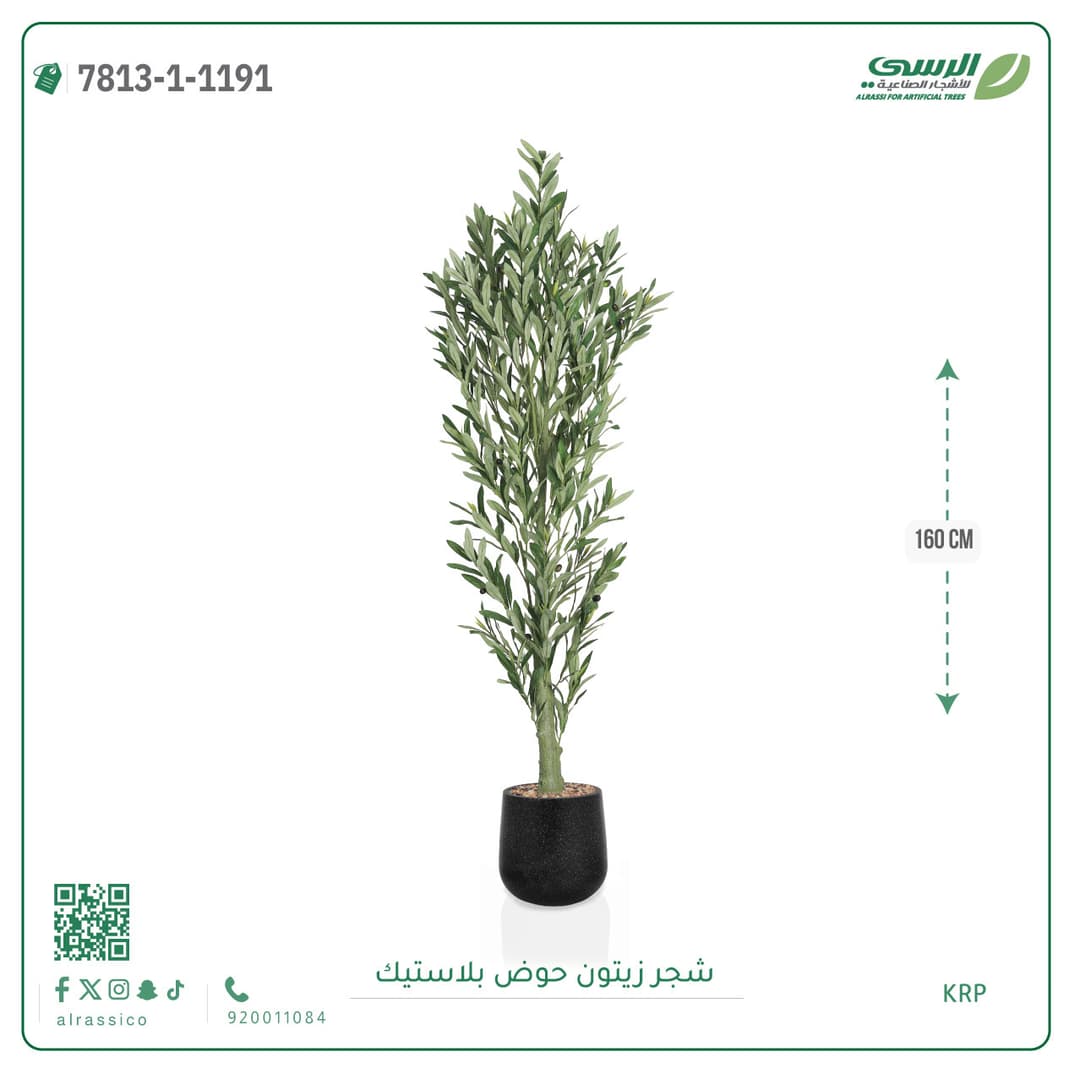 Olive Tree Plastic Pot