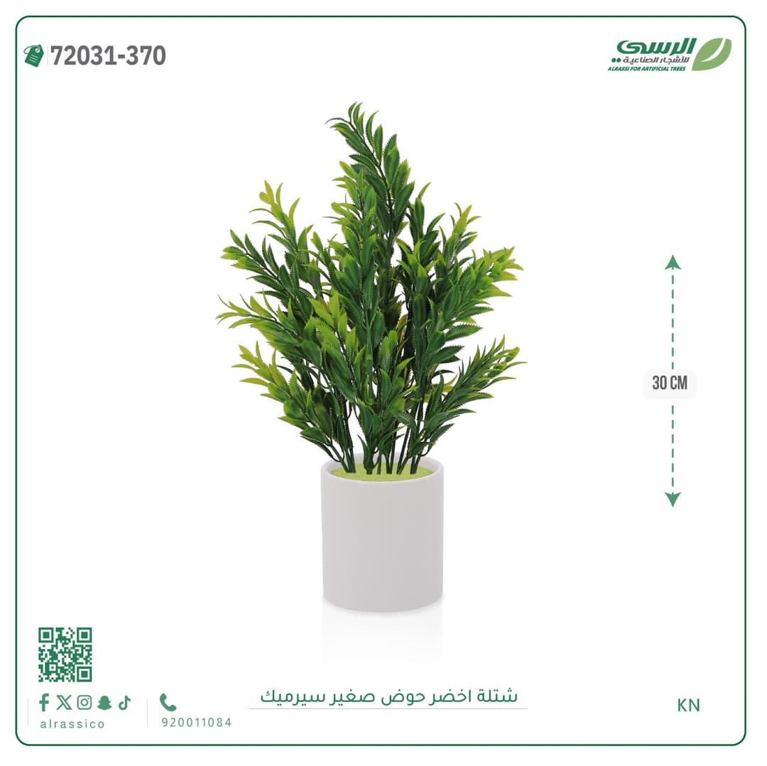 Green Plant Small Ceramic Pot