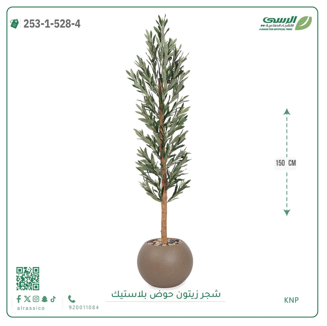 شجر نخل مركن بلاسيتك دائري 