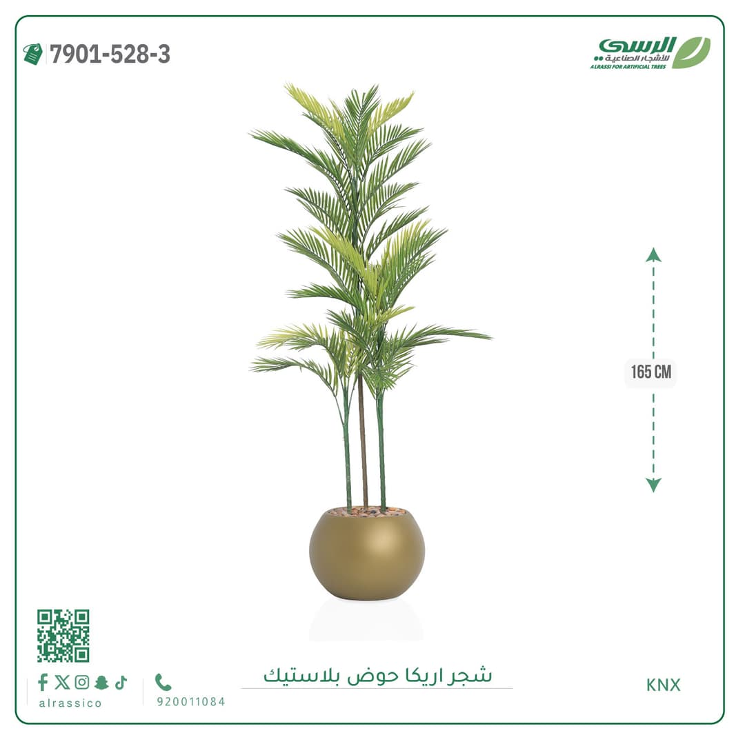 Areca Plant Plastic Pot