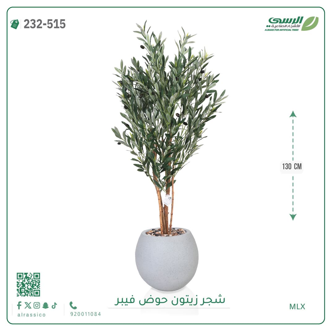 شجر زيتون حوض فايبر