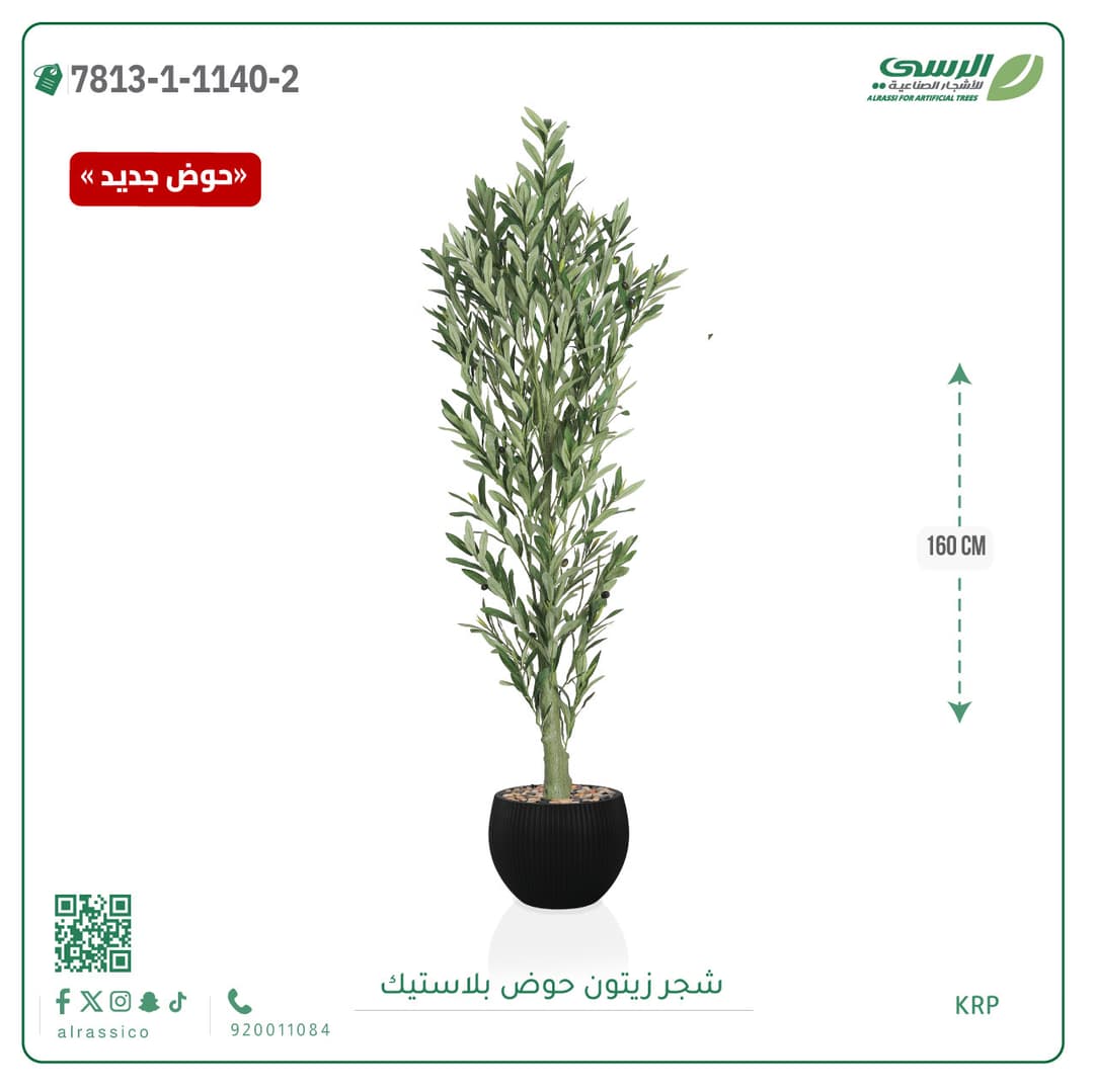 Olive Tree Plastic Pot