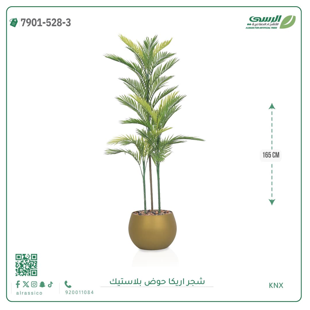 Areca Plant Plastic Pot