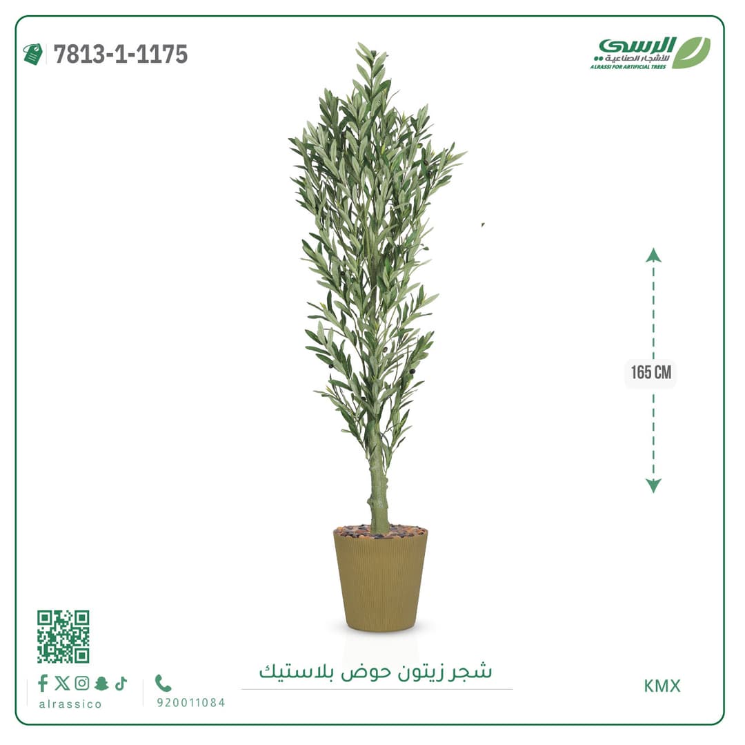 Olive Tree Plastic Pot